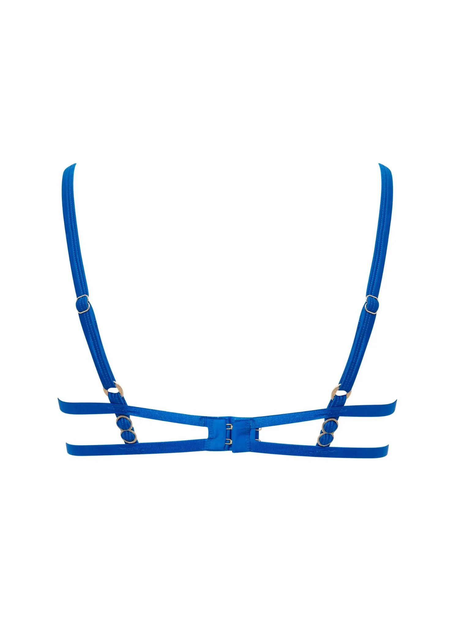 Etta Wired Bra (Egyptian Blue/Sheer)