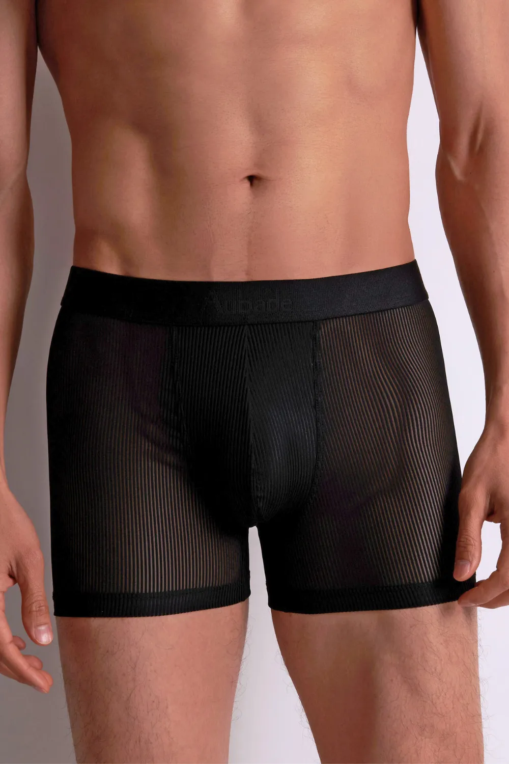 Homme Men's Stripes Boxer