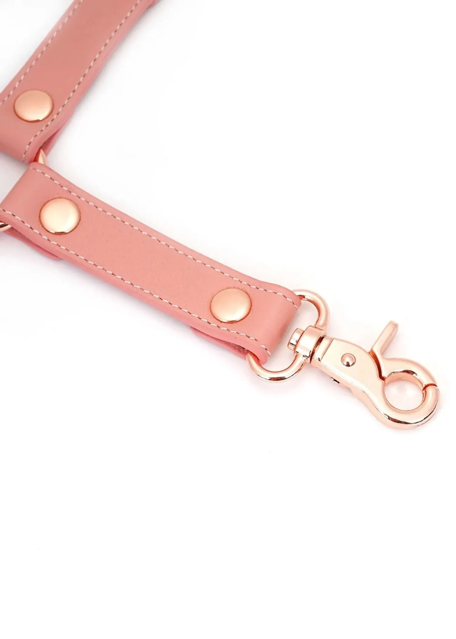 Pink Dream Leather Hogtie